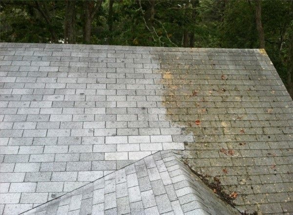 before and after roof cleaning